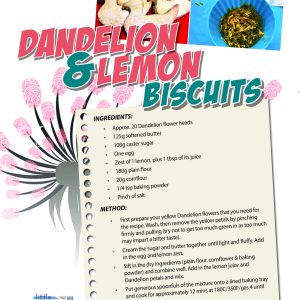 MOTMC At Home Dandelion & Lemon Biscuits