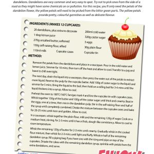 MOTMC At Home Dandelion Cupcakes