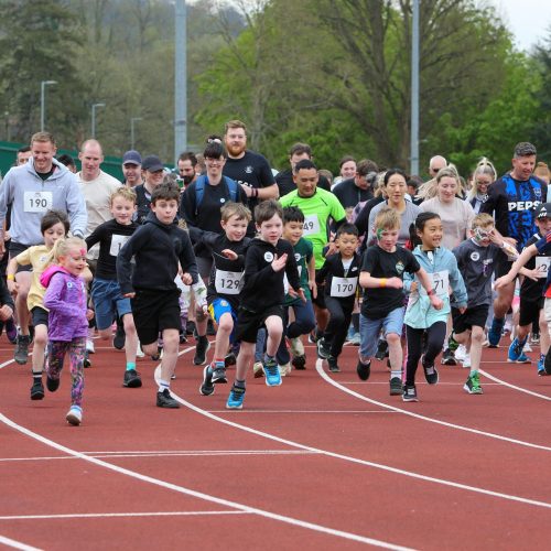 Copyright2024DominicParkes