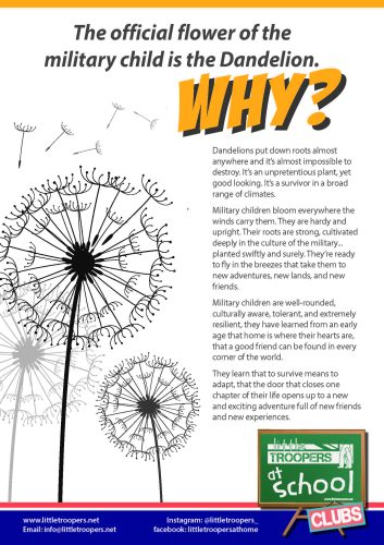 LT - SCHOOLS 2025 - Dandelion