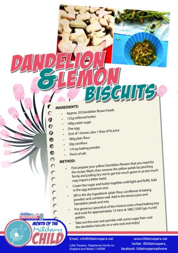 LT_Month Military 2025_DANDELION COOKIES