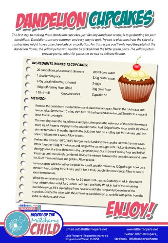 LT_Month Military 2025_DANDELION CUPCAKES