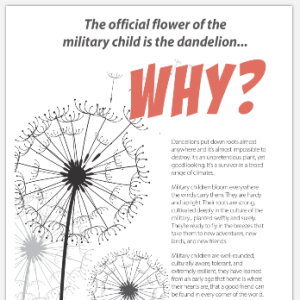 Screenshot 2026-02-05 130314